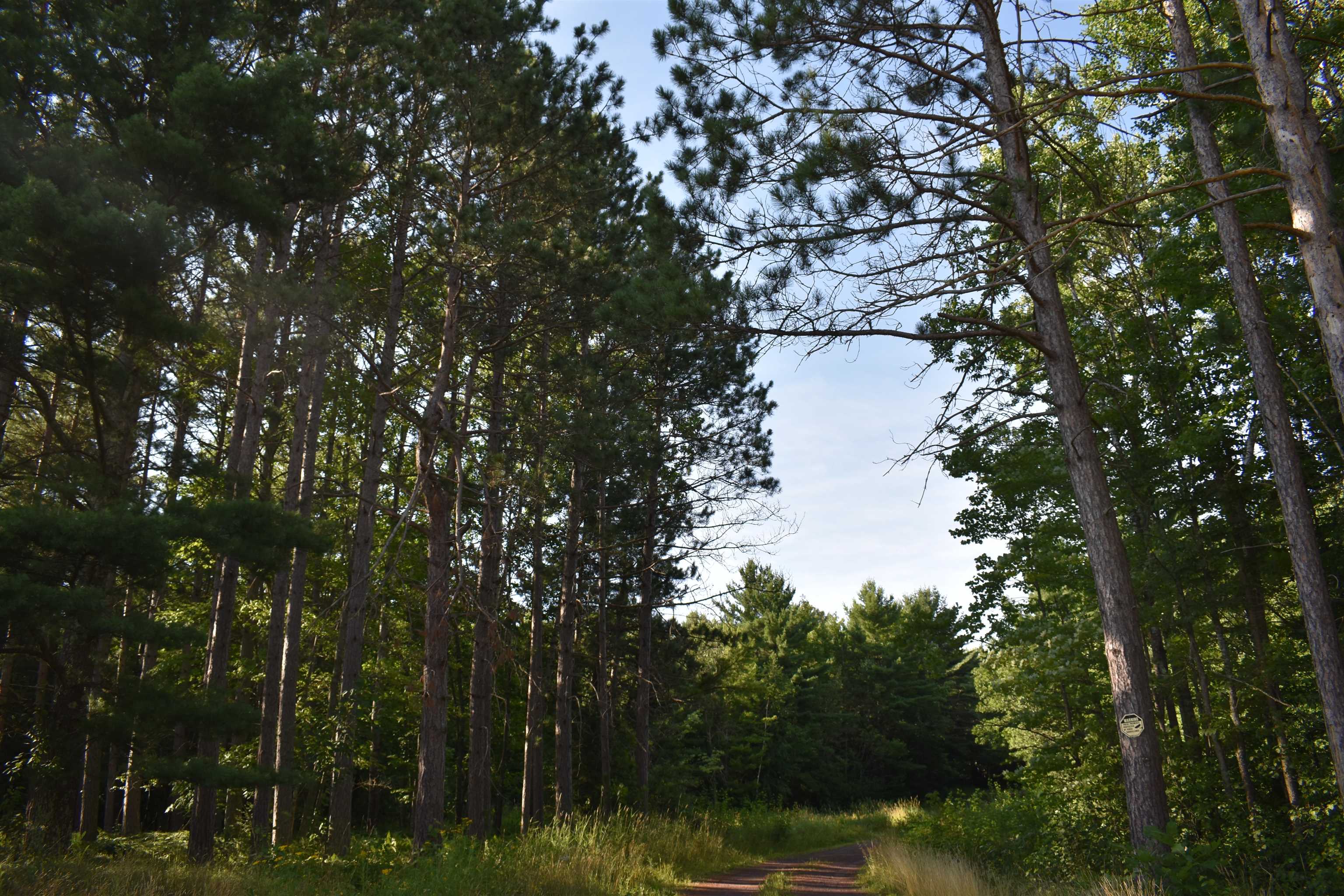 28230 Paulson Road Washburn, WI 54891 - Photo 51 of 52 Gallery Image 51