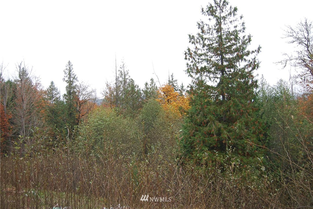 29014 Southeast Issaquah-Fall City Road Fall City, WA 98024 - Photo 3 of 5 Gallery Image 3