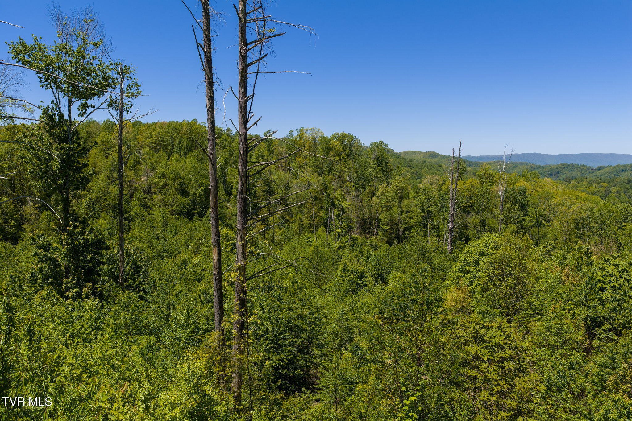 Tbd Walnut Mountain Road, Unit TBD Butler, TN 37640 - Photo 6 of 22 12-web-or-mls-DJI_20260512141805_0707_D
