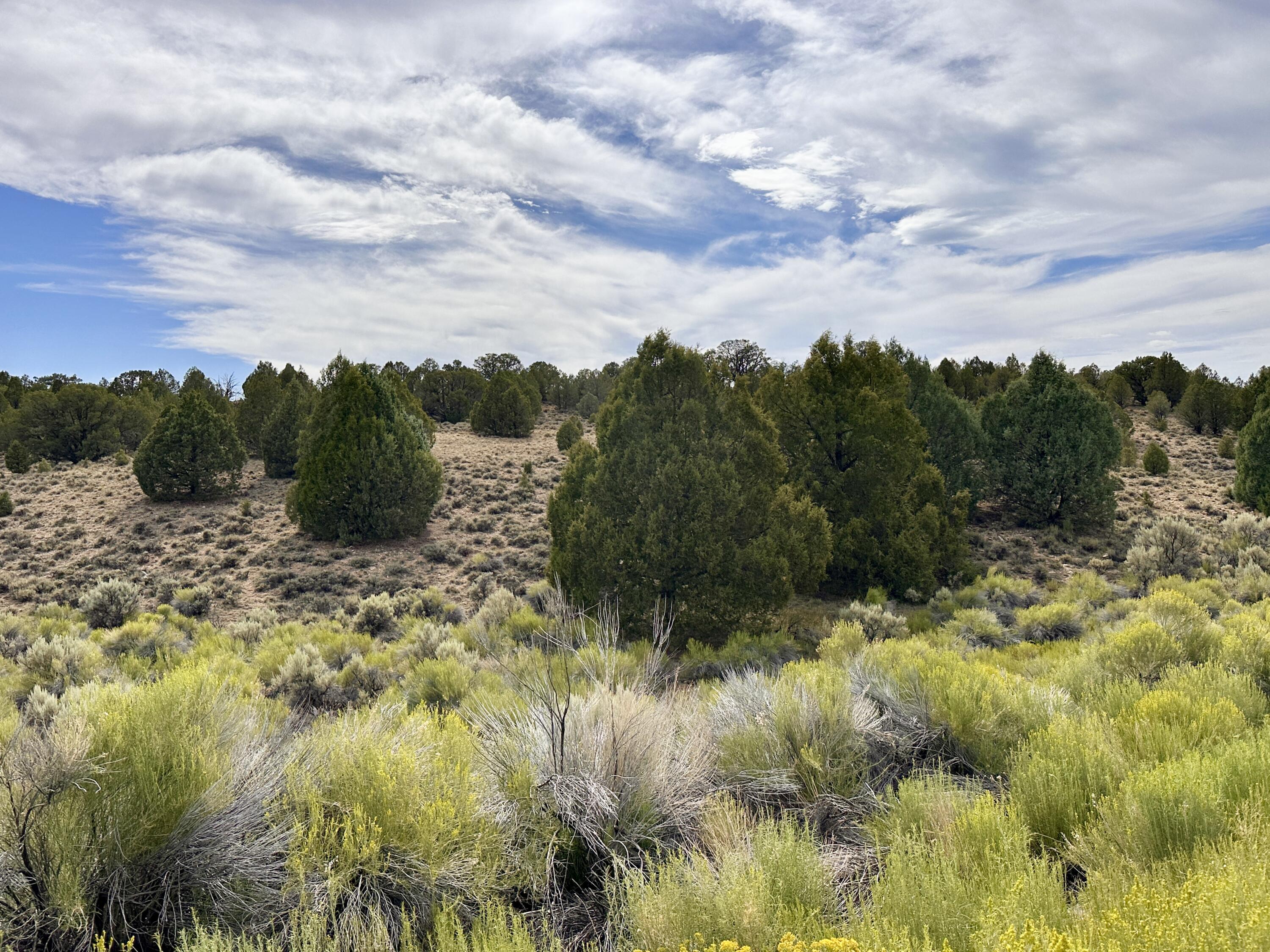 1730 Eagle Ridge Circle Hatch, UT 84735 - Photo 6 of 15 IMG_0613 2