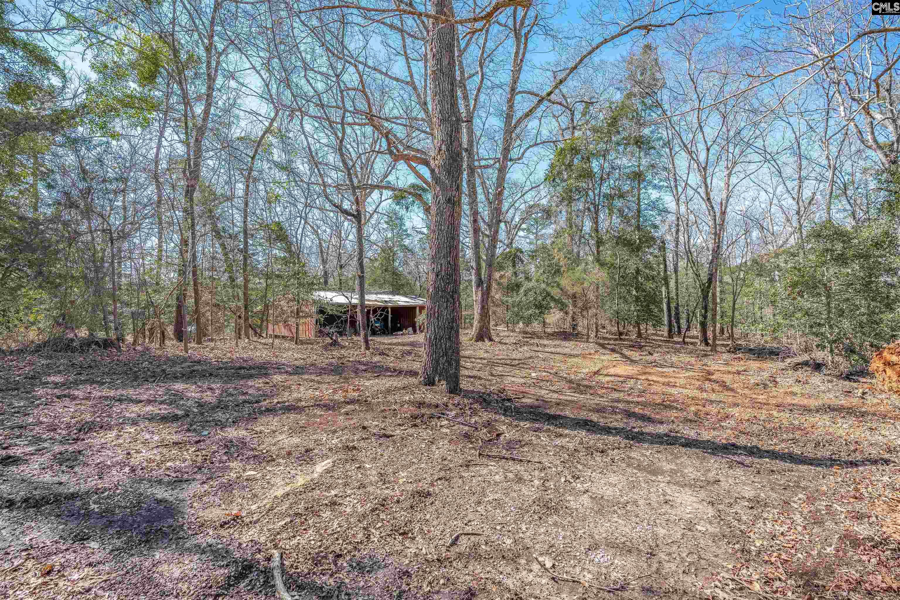 3600 Kennerly Road Irmo, SC 29063 - Photo 29 of 70