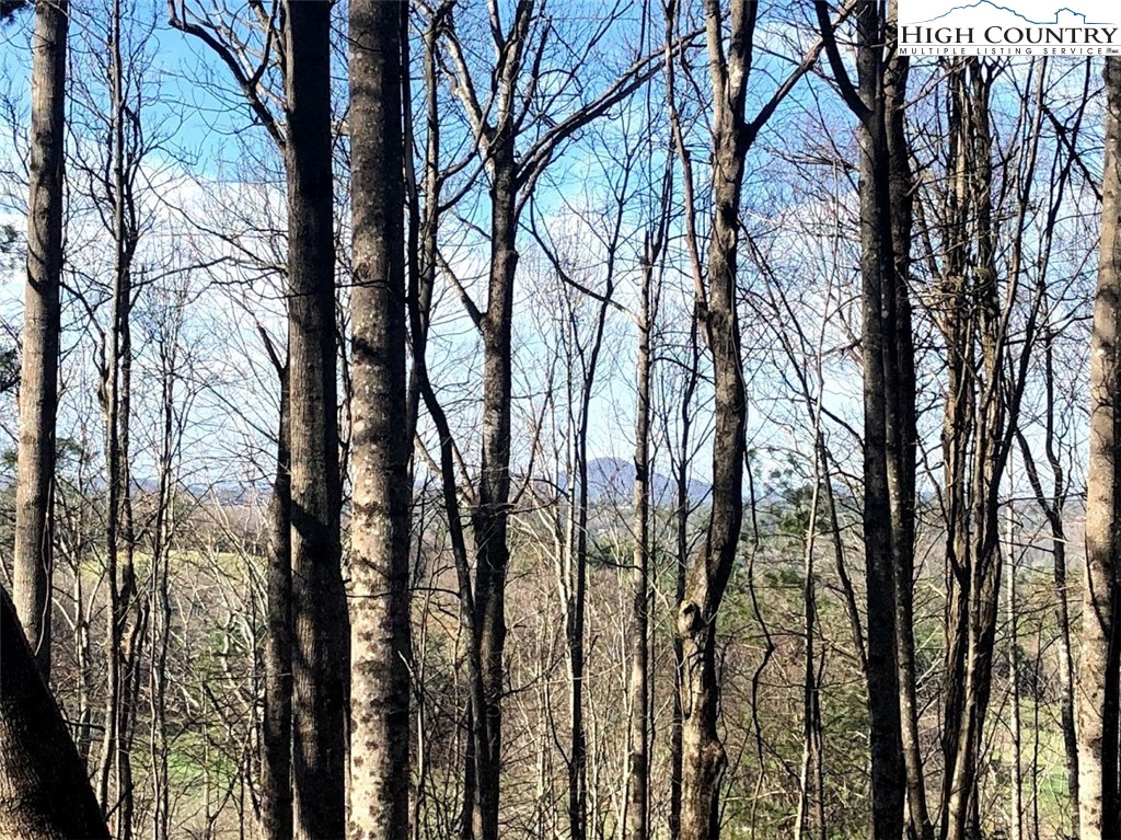 Ildewilld Road West Jefferson, NC 28694 - Photo 1 of 23