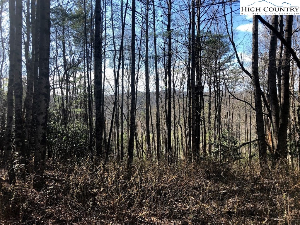 Ildewilld Road West Jefferson, NC 28694 - Photo 11 of 23