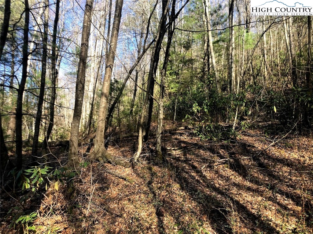 Ildewilld Road West Jefferson, NC 28694 - Photo 12 of 23