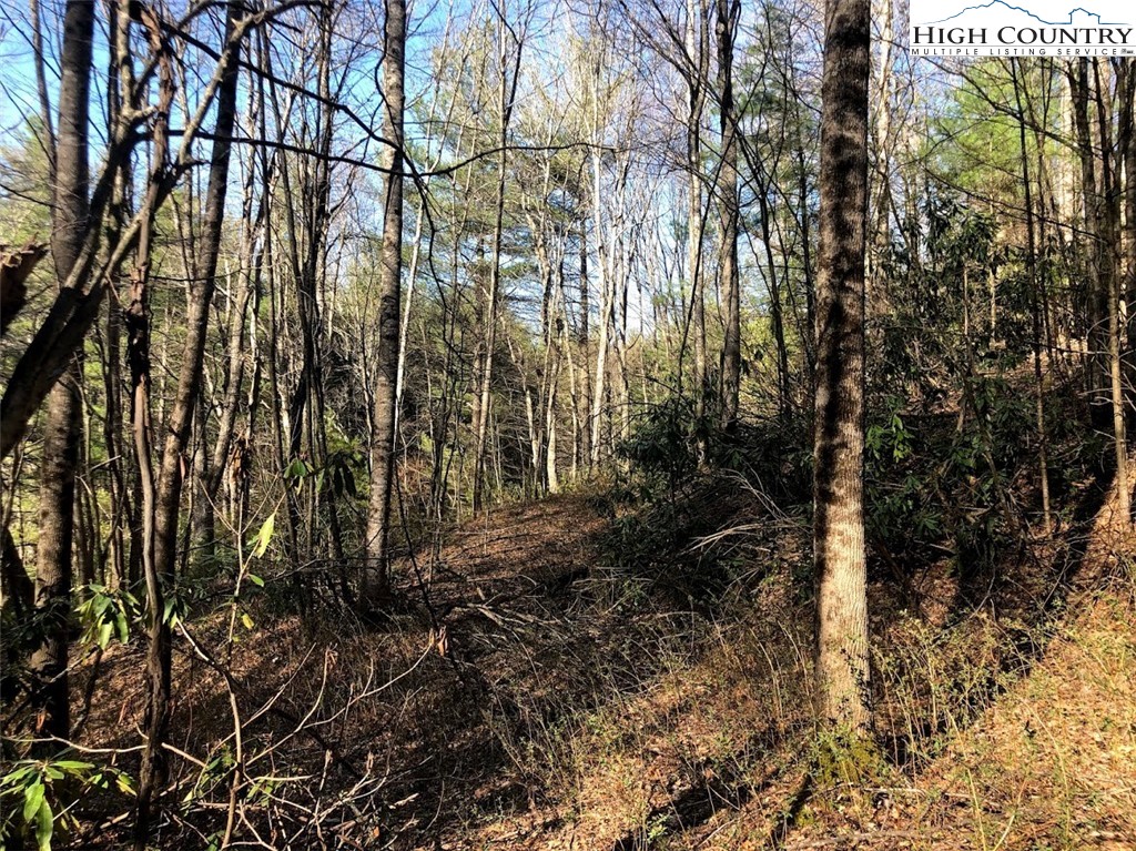 Ildewilld Road West Jefferson, NC 28694 - Photo 13 of 23