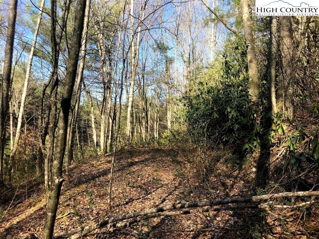 Ildewilld Road West Jefferson, NC 28694 - Photo 14 of 23