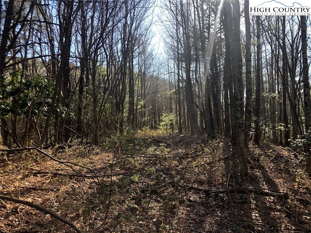 Ildewilld Road West Jefferson, NC 28694 - Photo 15 of 23