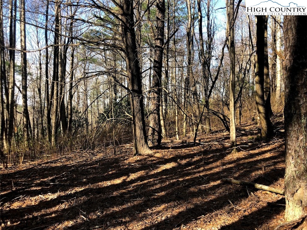 Ildewilld Road West Jefferson, NC 28694 - Photo 16 of 23