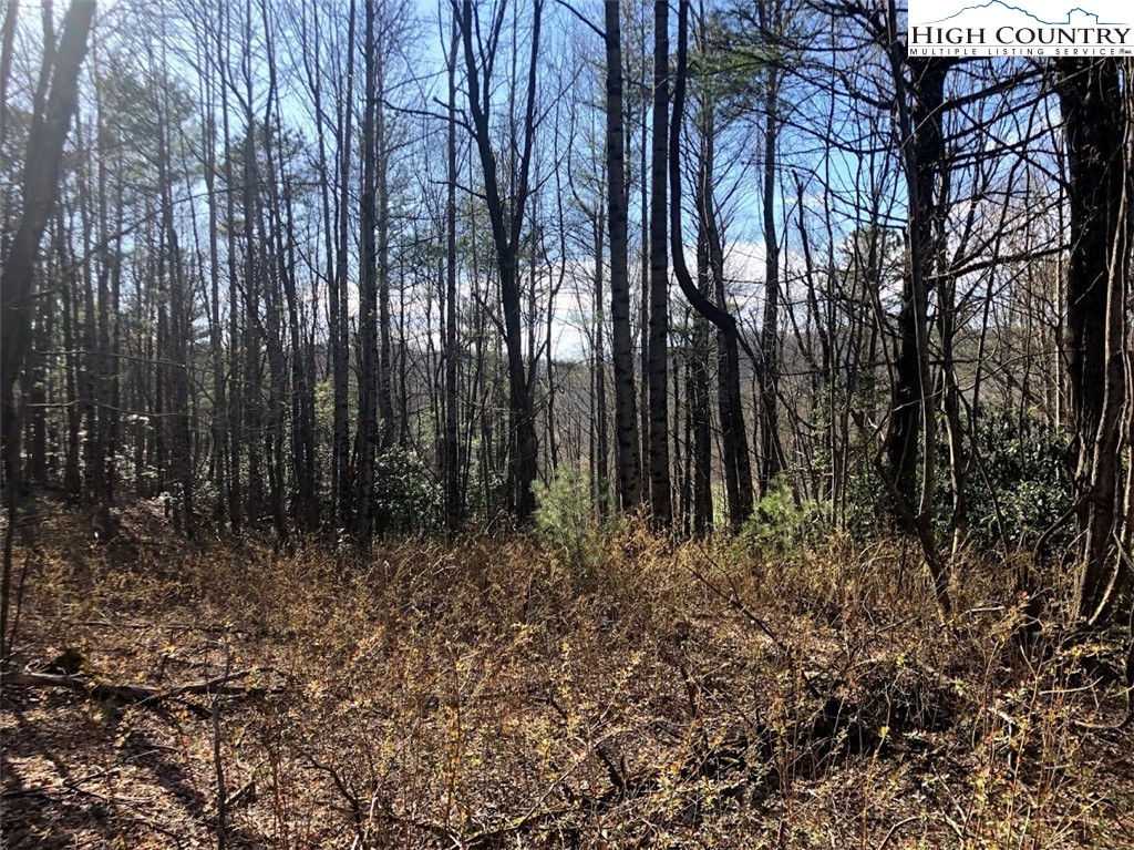 Ildewilld Road West Jefferson, NC 28694 - Photo 19 of 23