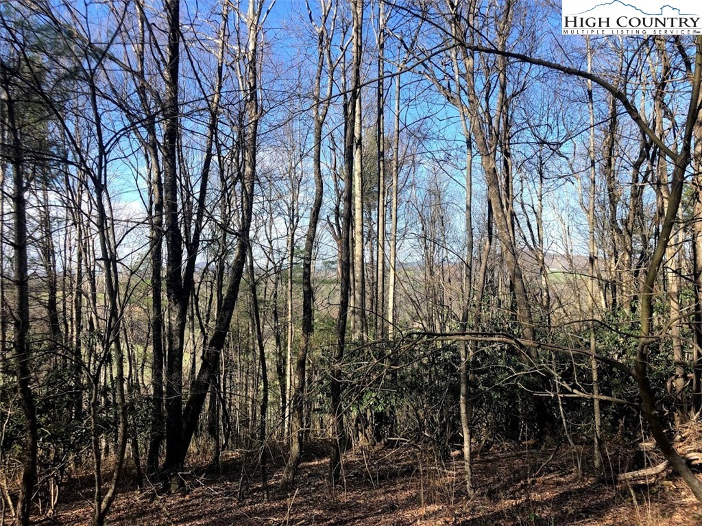 Ildewilld Road West Jefferson, NC 28694 - Photo 20 of 23