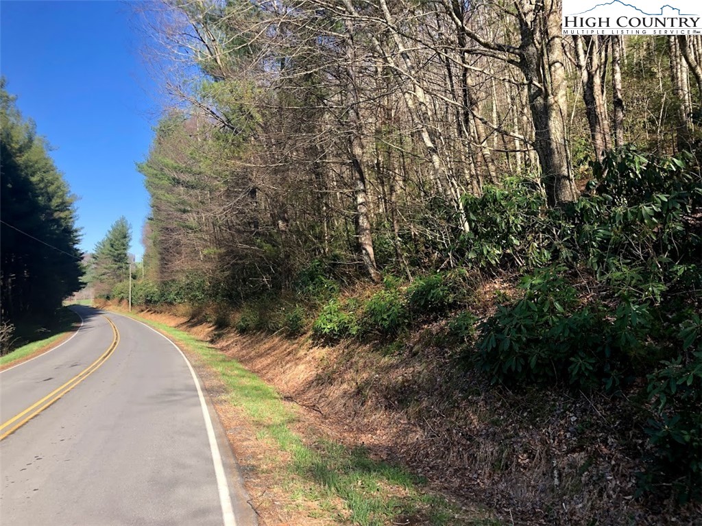 Ildewilld Road West Jefferson, NC 28694 - Photo 2 of 23