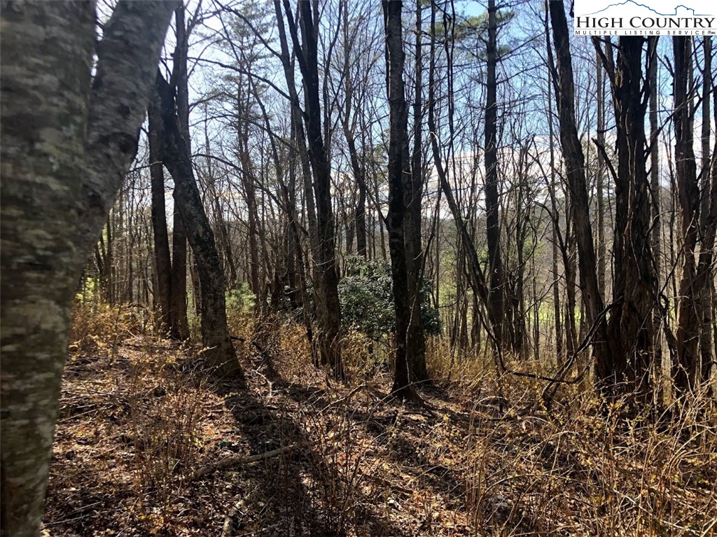 Ildewilld Road West Jefferson, NC 28694 - Photo 21 of 23