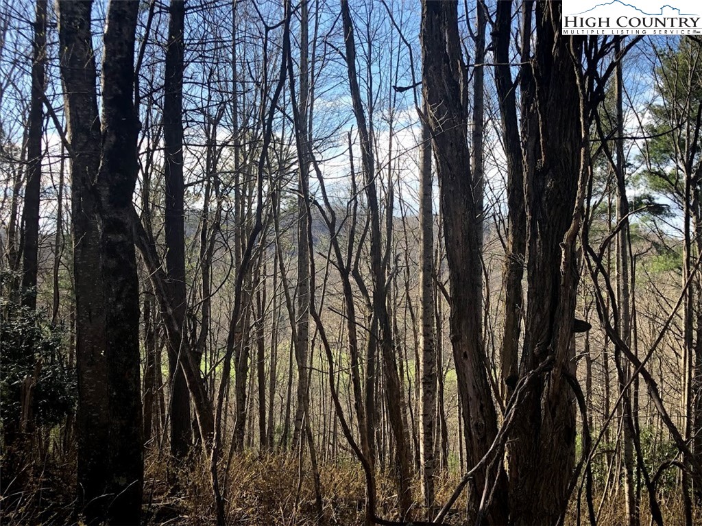 Ildewilld Road West Jefferson, NC 28694 - Photo 22 of 23