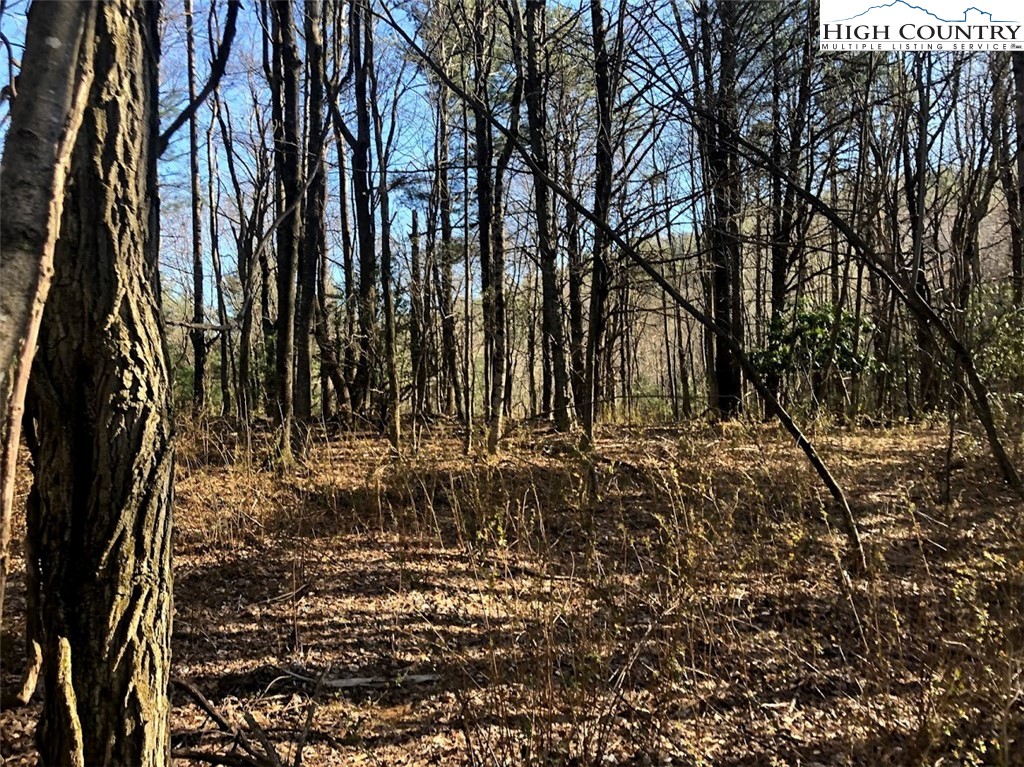 Ildewilld Road West Jefferson, NC 28694 - Photo 23 of 23