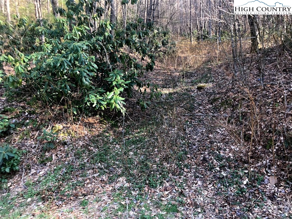Ildewilld Road West Jefferson, NC 28694 - Photo 3 of 23