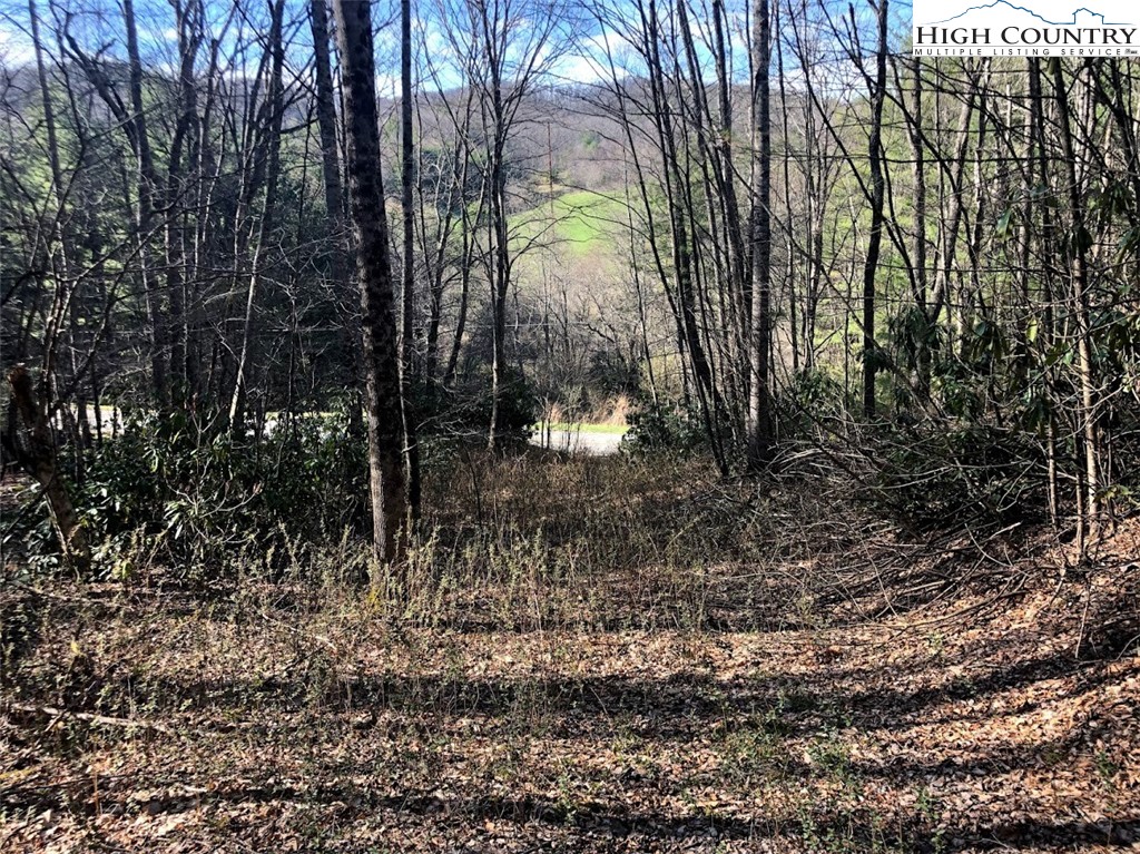Ildewilld Road West Jefferson, NC 28694 - Photo 4 of 23