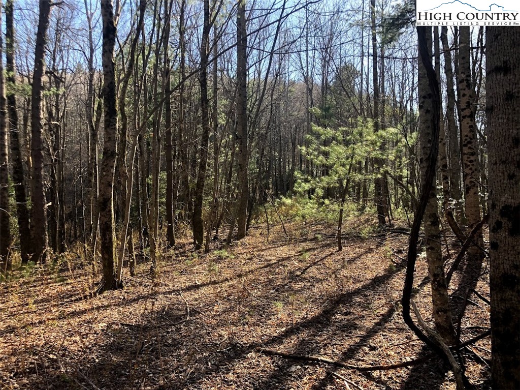 Ildewilld Road West Jefferson, NC 28694 - Photo 8 of 23