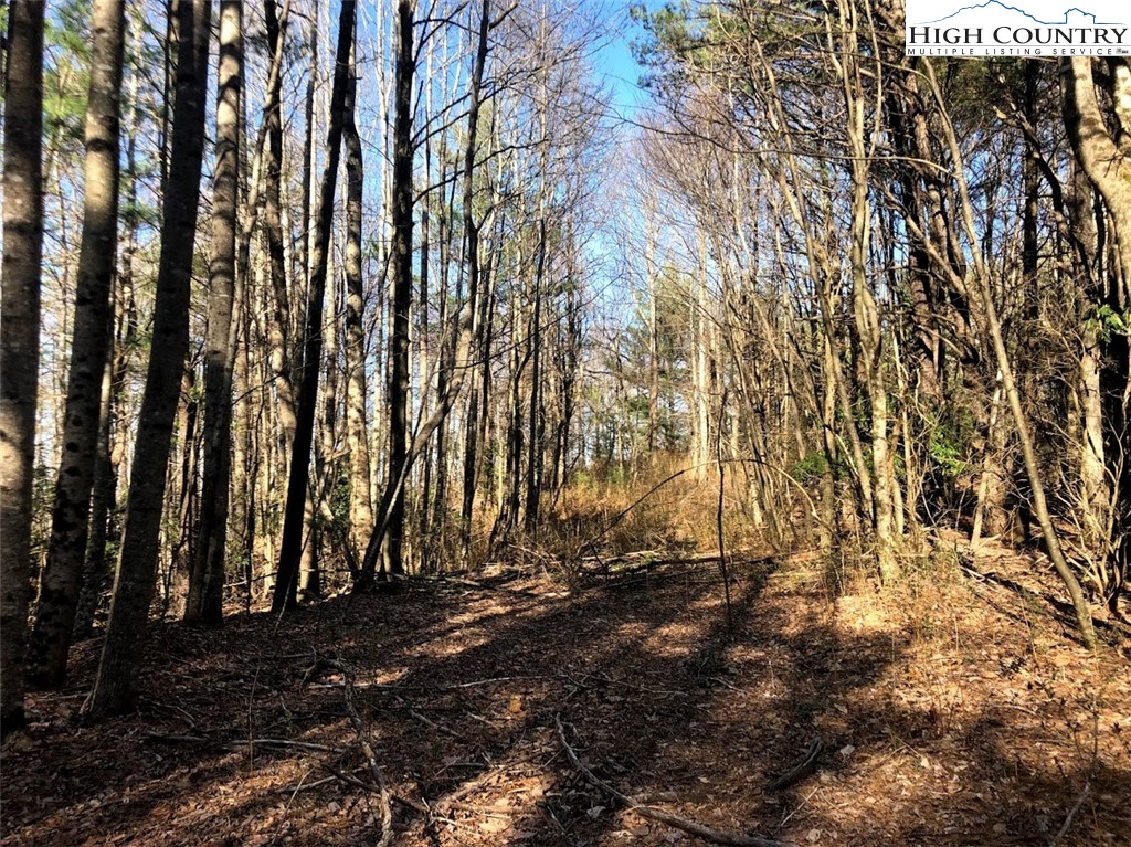 Ildewilld Road West Jefferson, NC 28694 - Photo 10 of 23