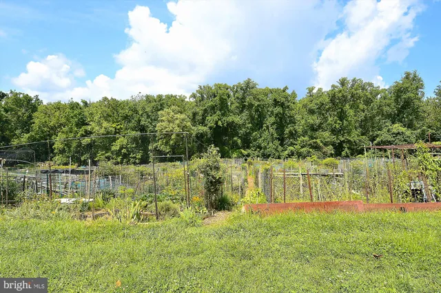 a view of a lake with houses in the background