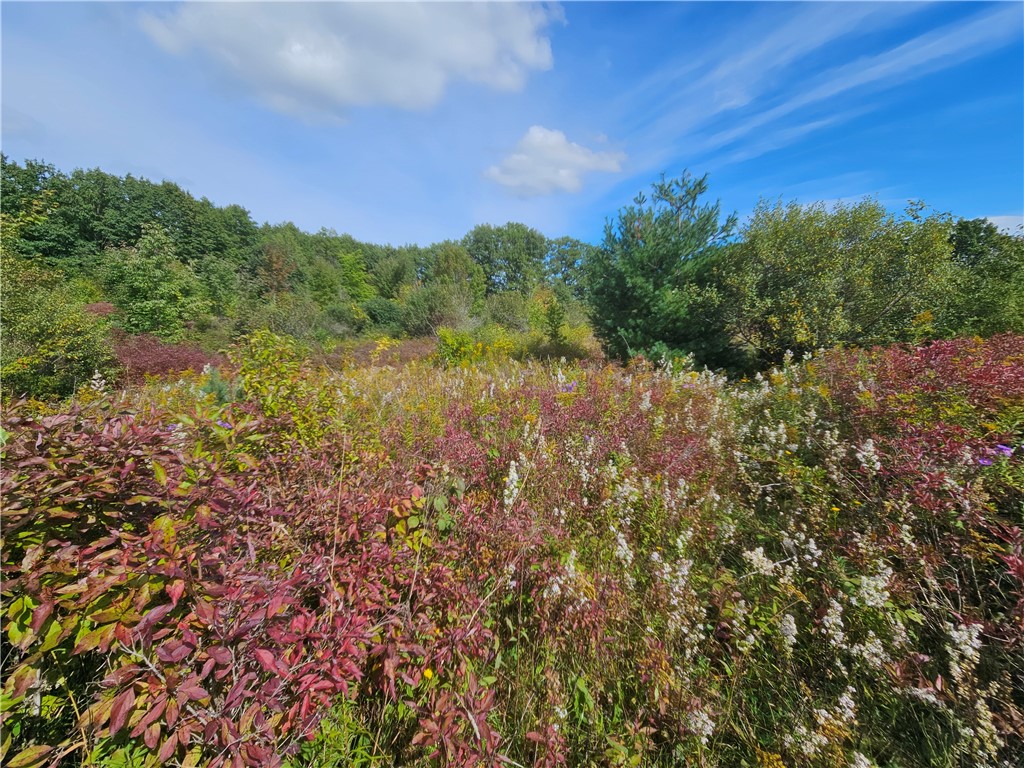 8237 Ford Road Pulteney, NY 14418 - Photo 27 of 48 Gallery Image 27
