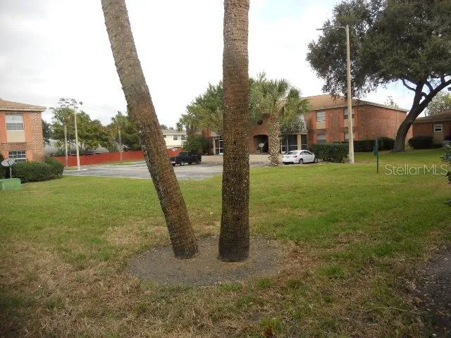 a view of a swimming pool with a yard and plants