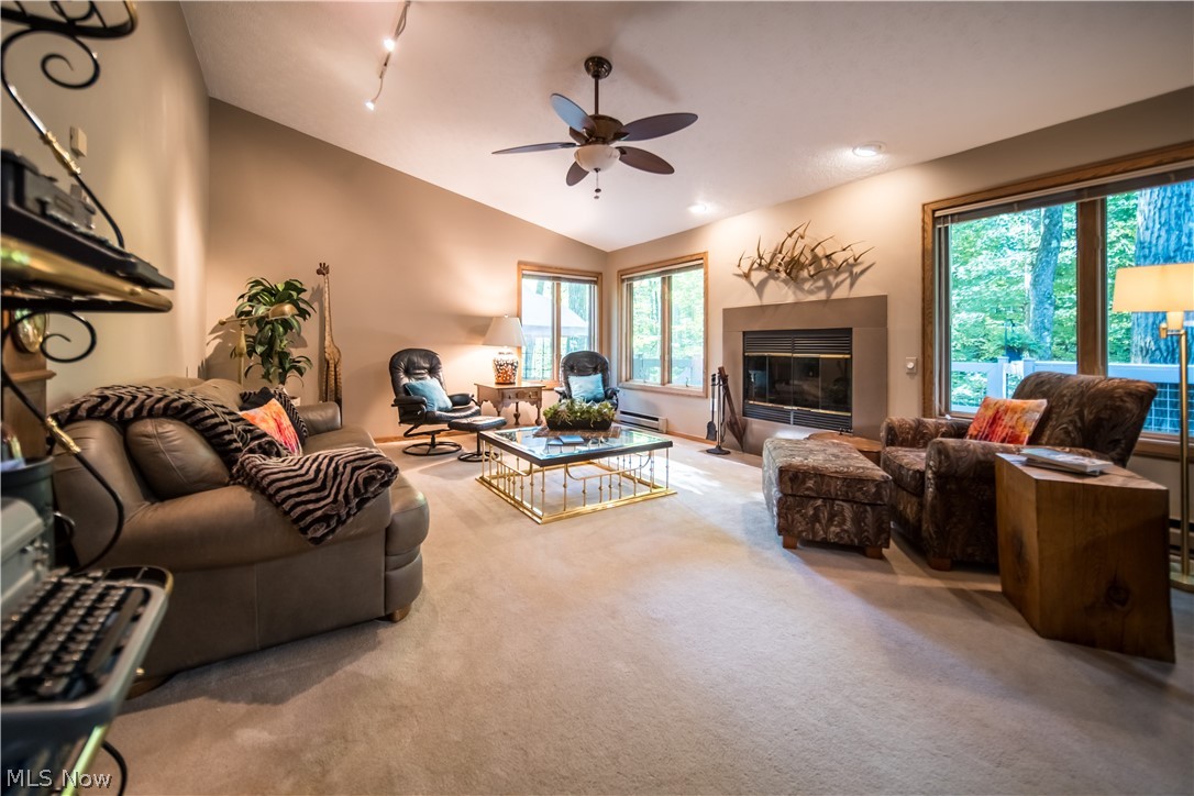 5119 Hattrick Road Ravenna, OH 44266 - Photo 6 of 33 Living room featuring ceiling fan, baseboard heating, track lighting, carpet, and lofted ceiling