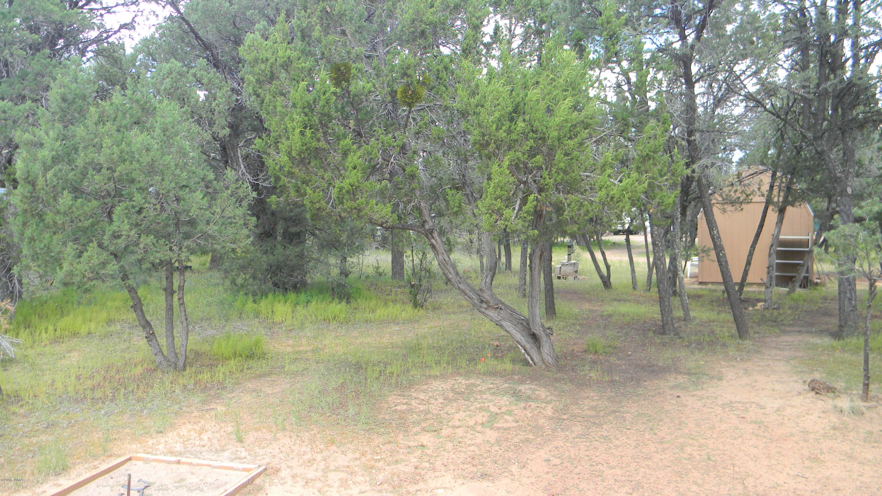 2148 Fishermans Road Overgaard, AZ 85933 - Photo 22 of 27