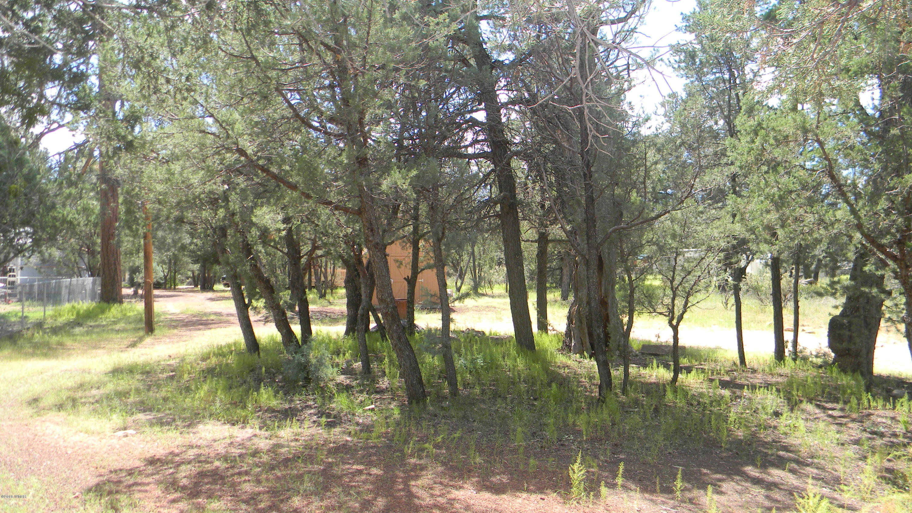 2148 Fishermans Road Overgaard, AZ 85933 - Photo 26 of 27