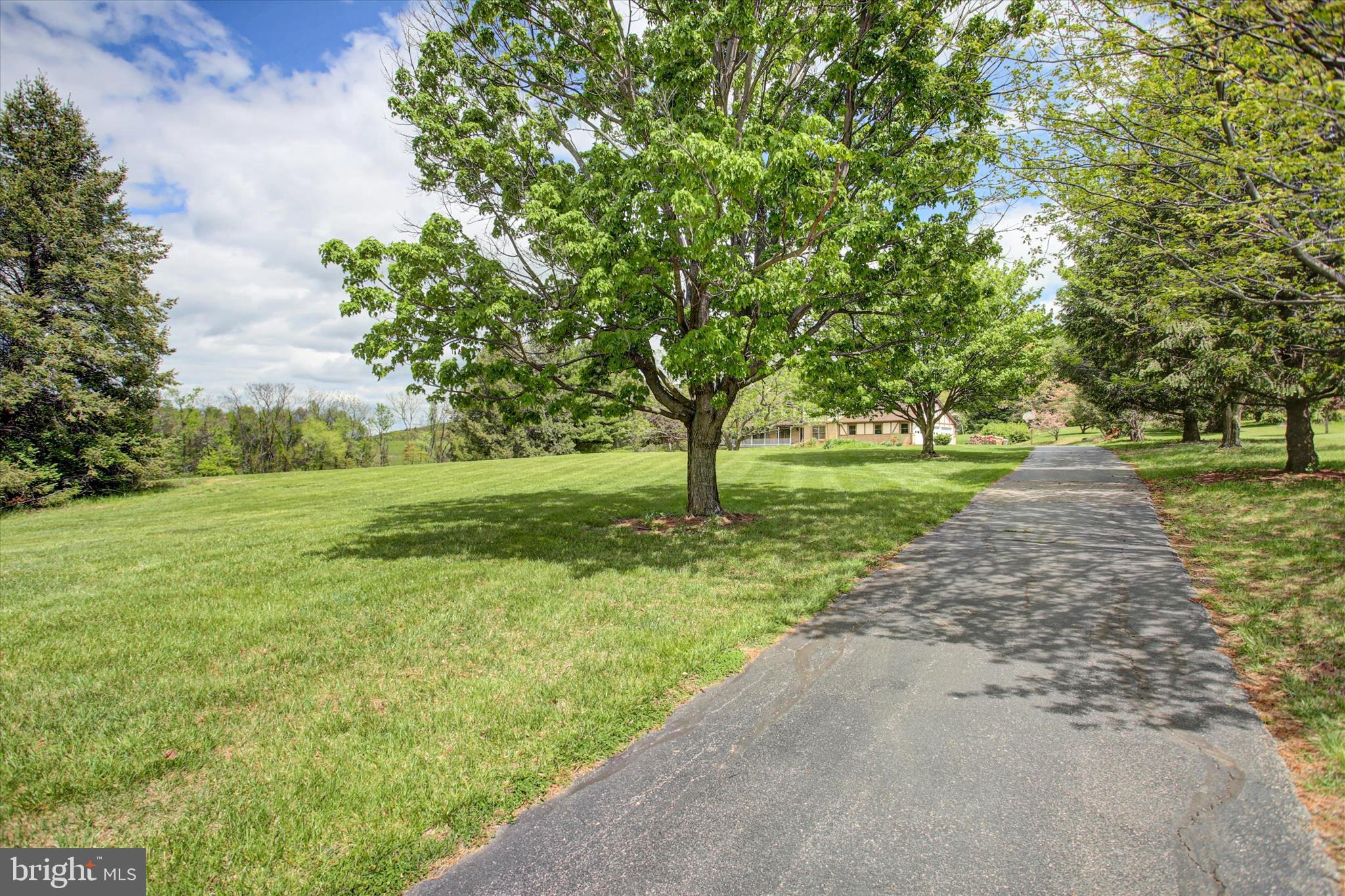 8001 Mapleville Road Boonsboro, MD 21713 - Photo 10 of 83