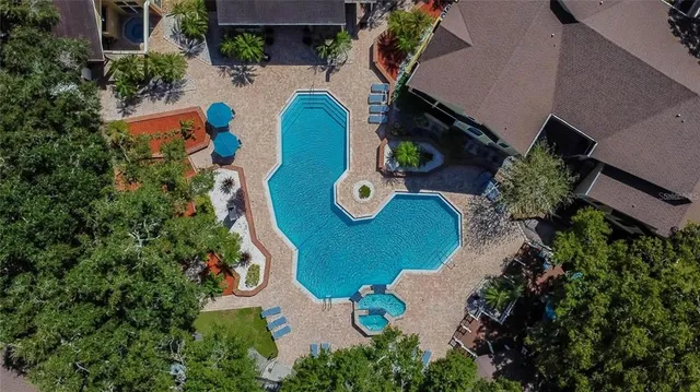 an aerial view of a swimming pool