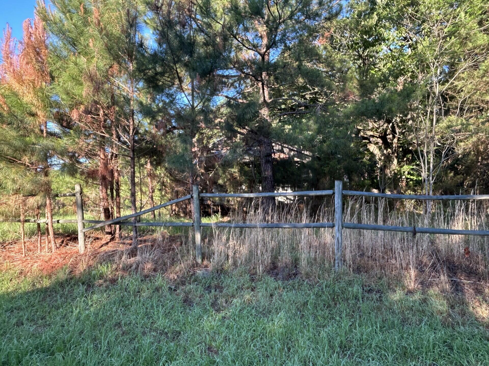 2641 State Rd S-15-84 Islandton, SC 29929 - Photo 6 of 20