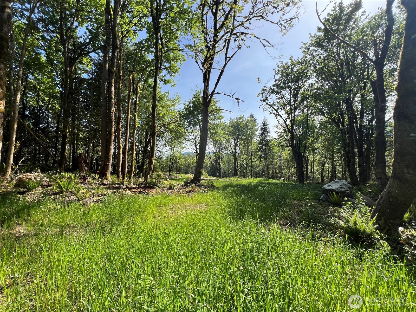 a view of backyard with green space