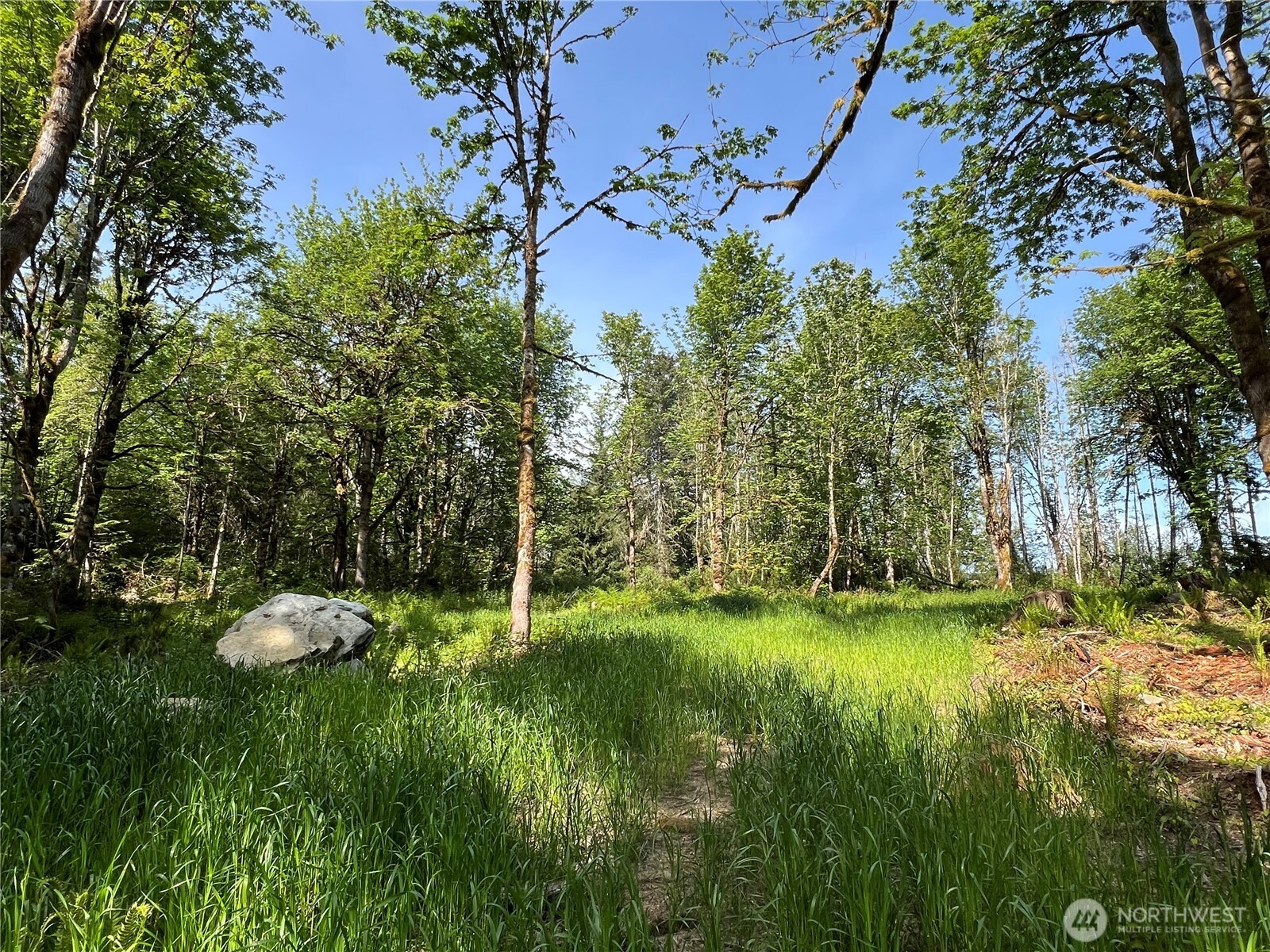 3-xxx Leland Valley Road West Quilcene, WA 98376 - Photo 14 of 23 a backyard of a house with lots of green space