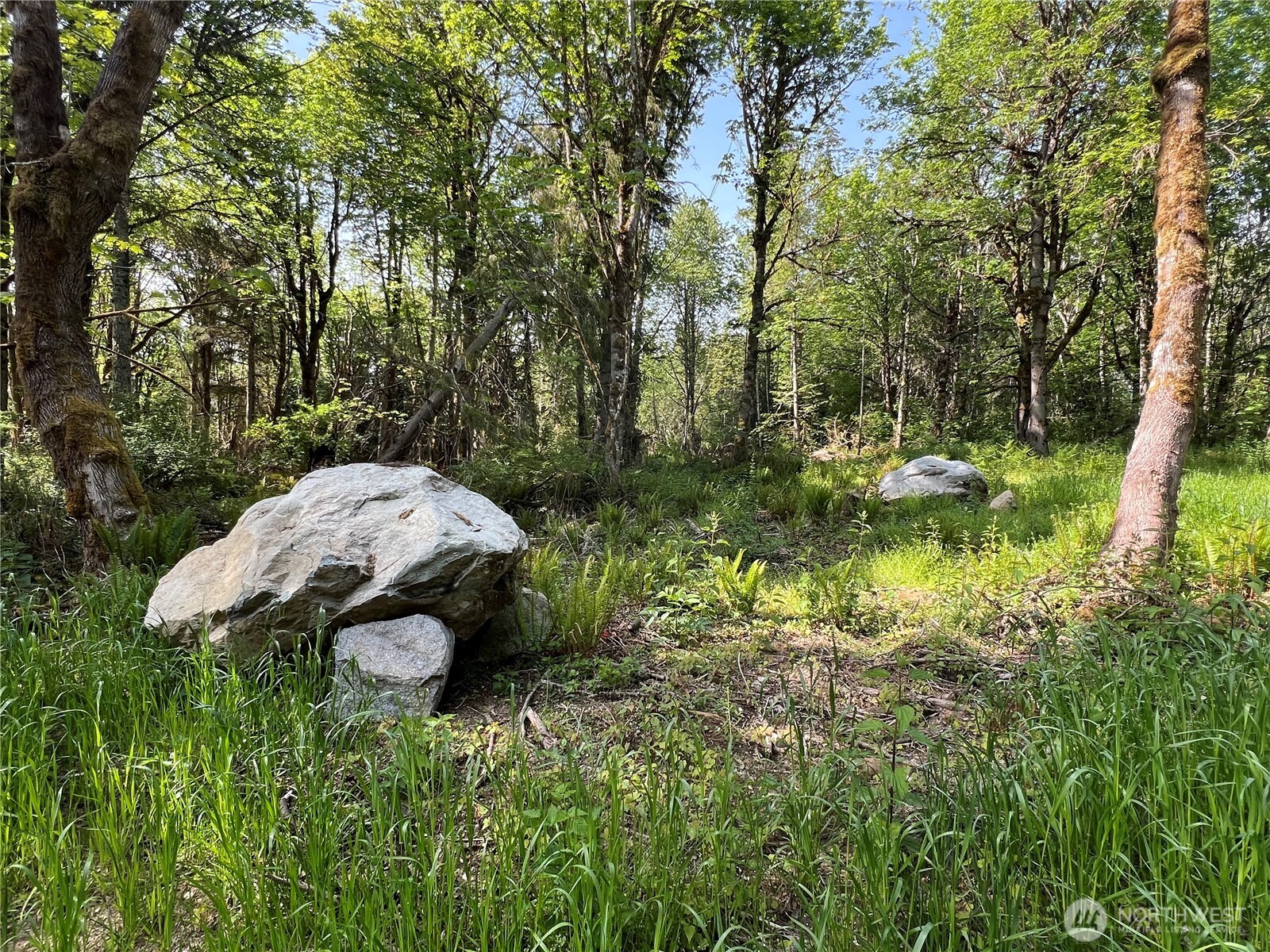 3-xxx Leland Valley Road West Quilcene, WA 98376 - Photo 16 of 23 a view of a garden
