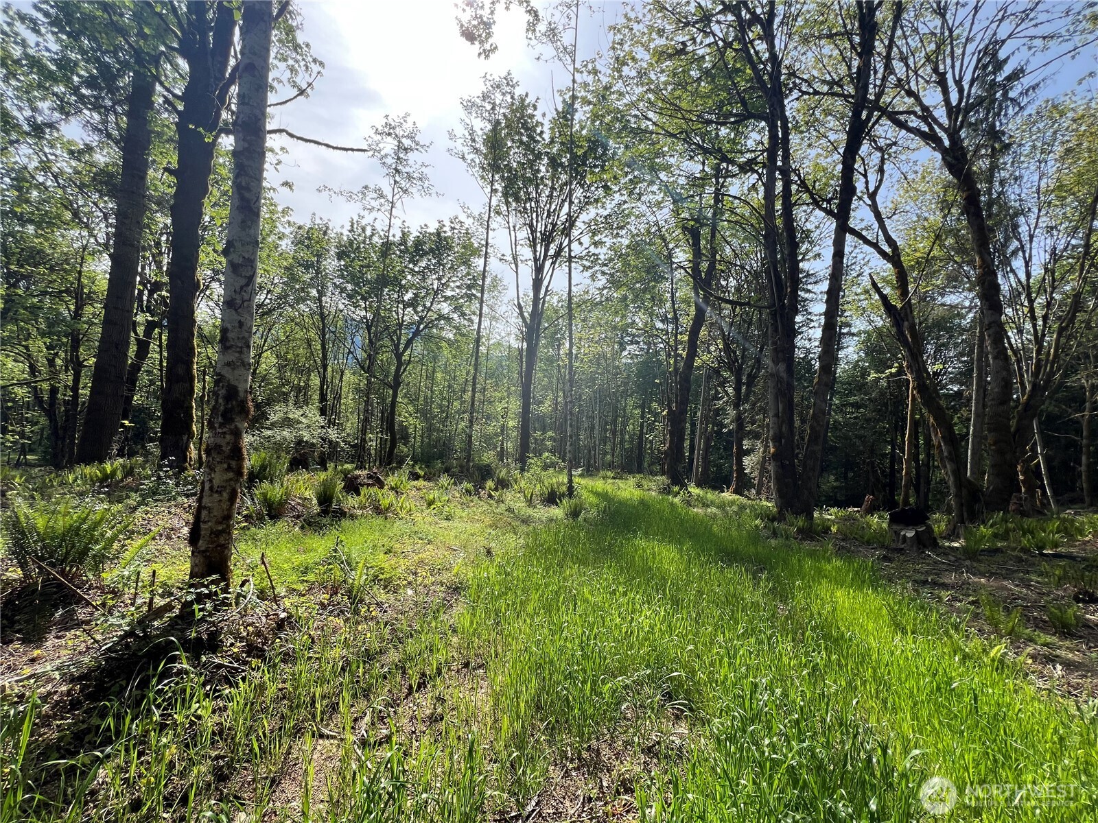 3-xxx Leland Valley Road West Quilcene, WA 98376 - Photo 18 of 23 a view of backyard