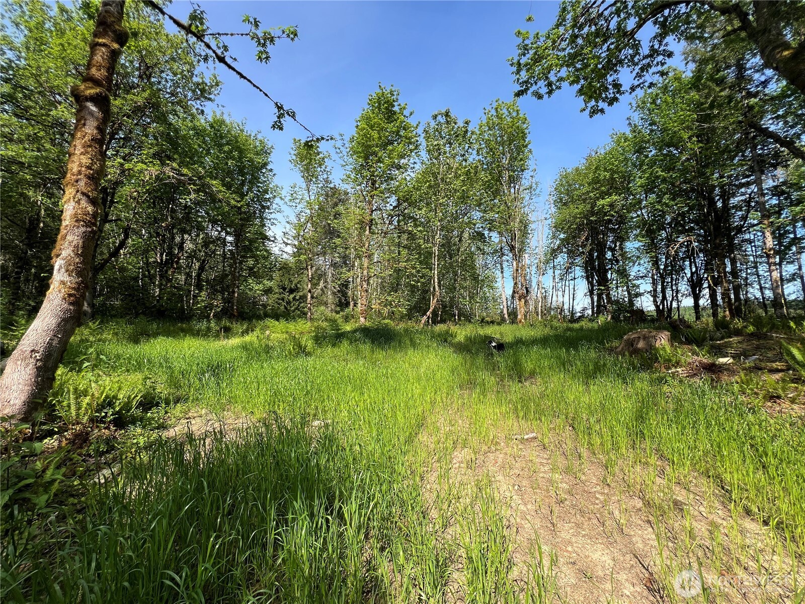 3-xxx Leland Valley Road West Quilcene, WA 98376 - Photo 3 of 23 a view of lake background