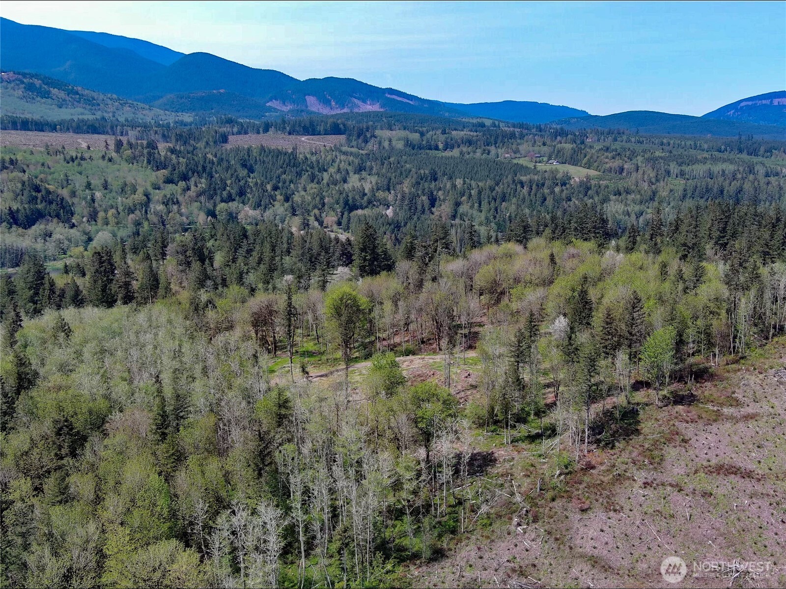 3-xxx Leland Valley Road West Quilcene, WA 98376 - Photo 5 of 23 a view of a forest with mountains in the background