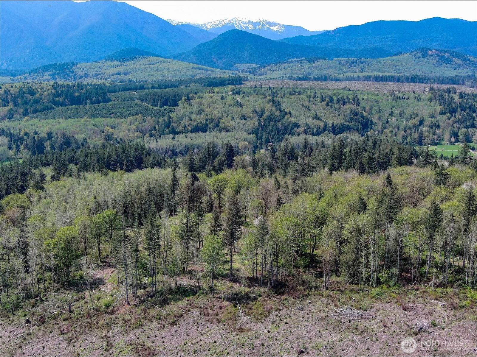 3-xxx Leland Valley Road West Quilcene, WA 98376 - Photo 6 of 23 a view of a lush green hillside and a forest