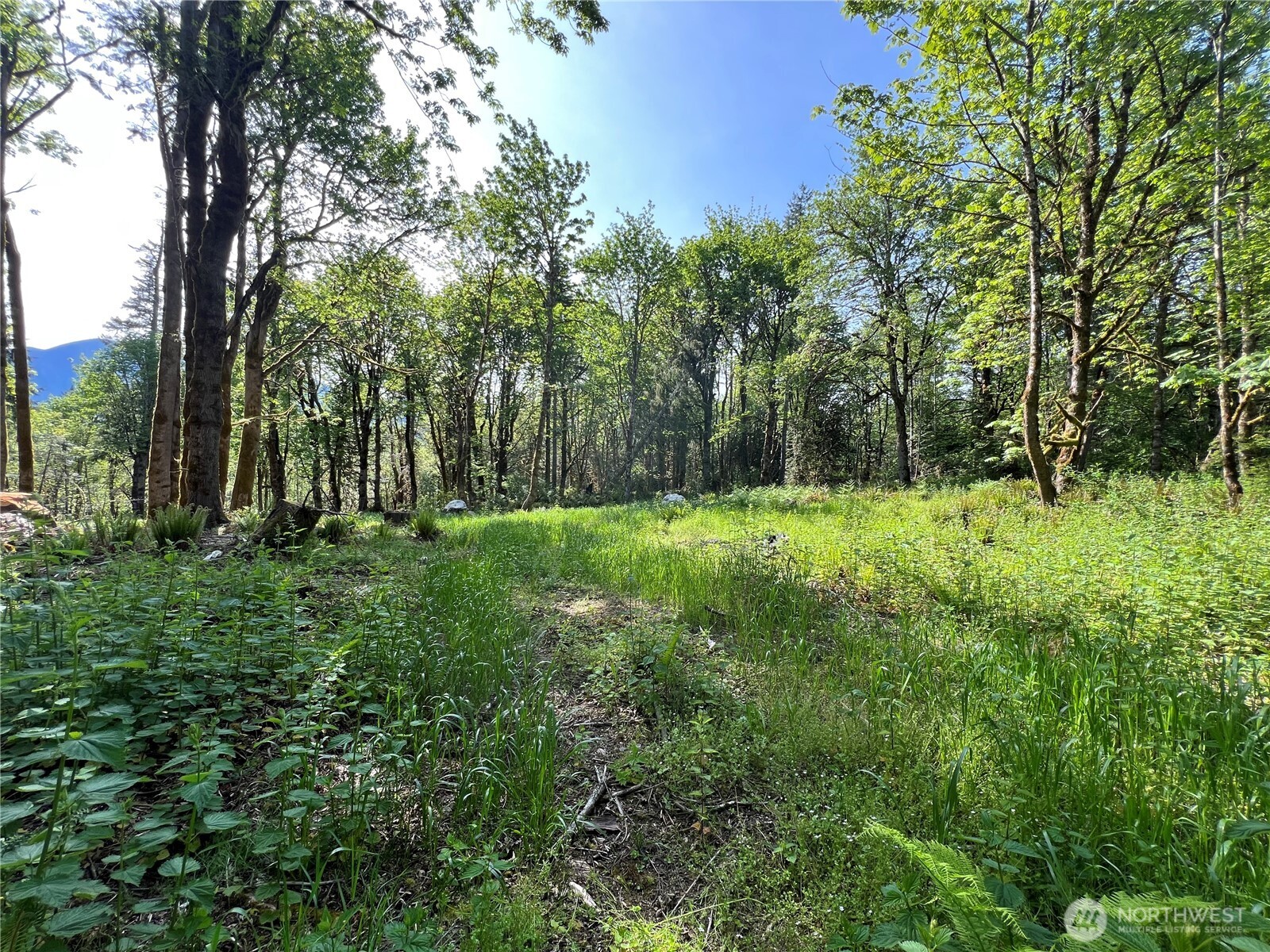 3-xxx Leland Valley Road West Quilcene, WA 98376 - Photo 9 of 23 a view of outdoor space with green field and trees all around