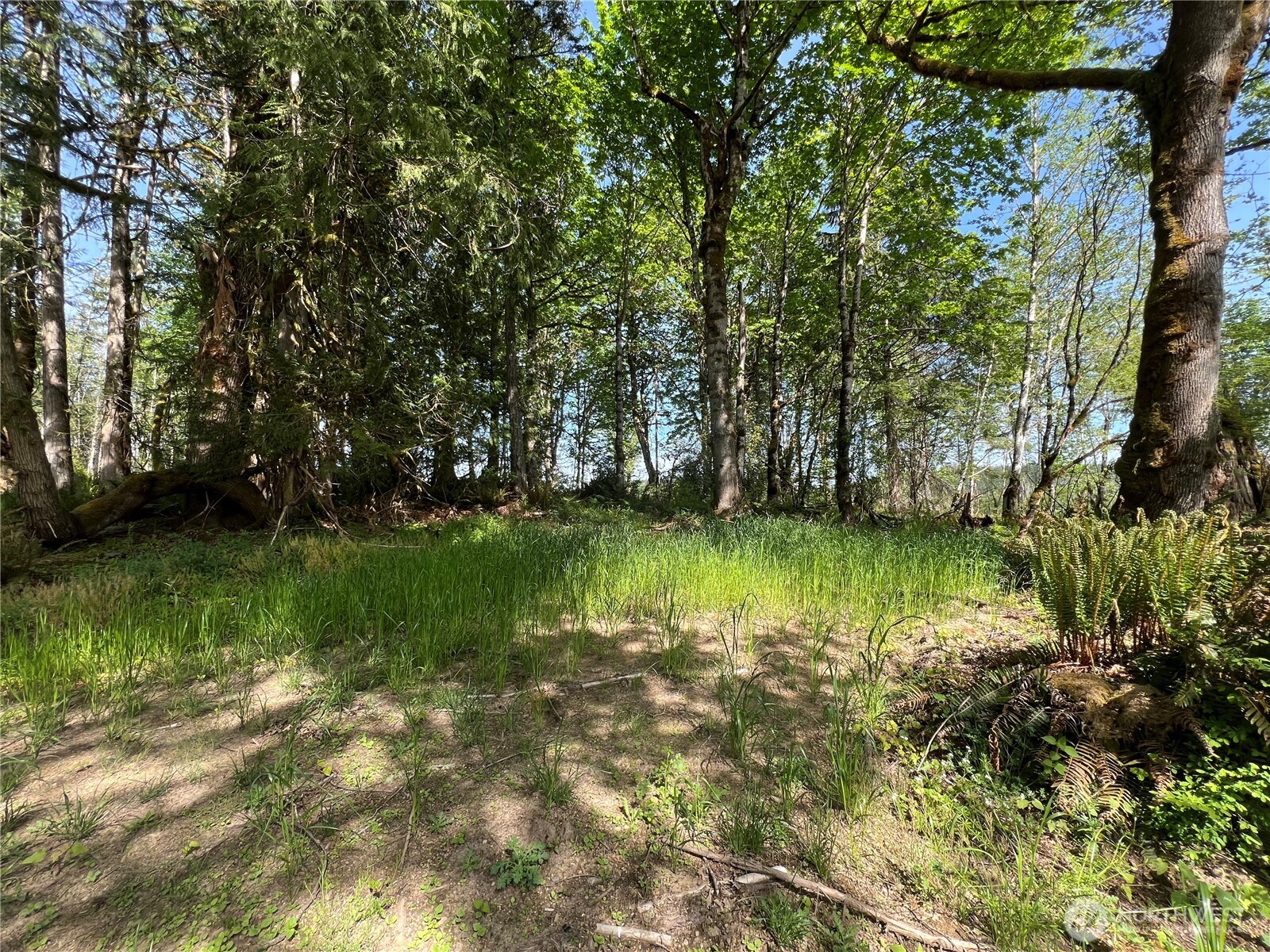3-xxx Leland Valley Road West Quilcene, WA 98376 - Photo 10 of 23 a view of a lake with a yard