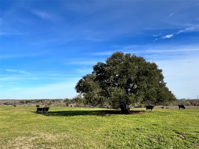 $2,170,530 | Tbd Oil Field Road, Brenham, TX 77833