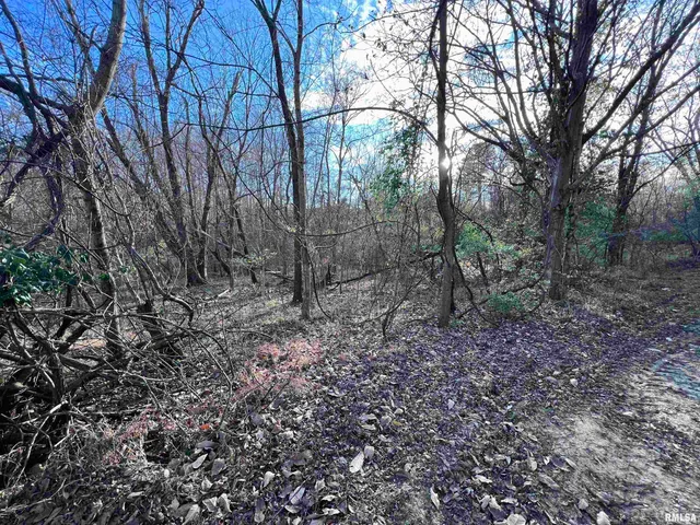 $450,000 | 88 Dakota Road, Carbondale, IL 62902