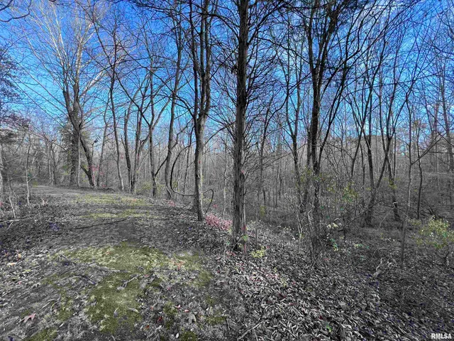 $450,000 | 88 Dakota Road, Carbondale, IL 62902