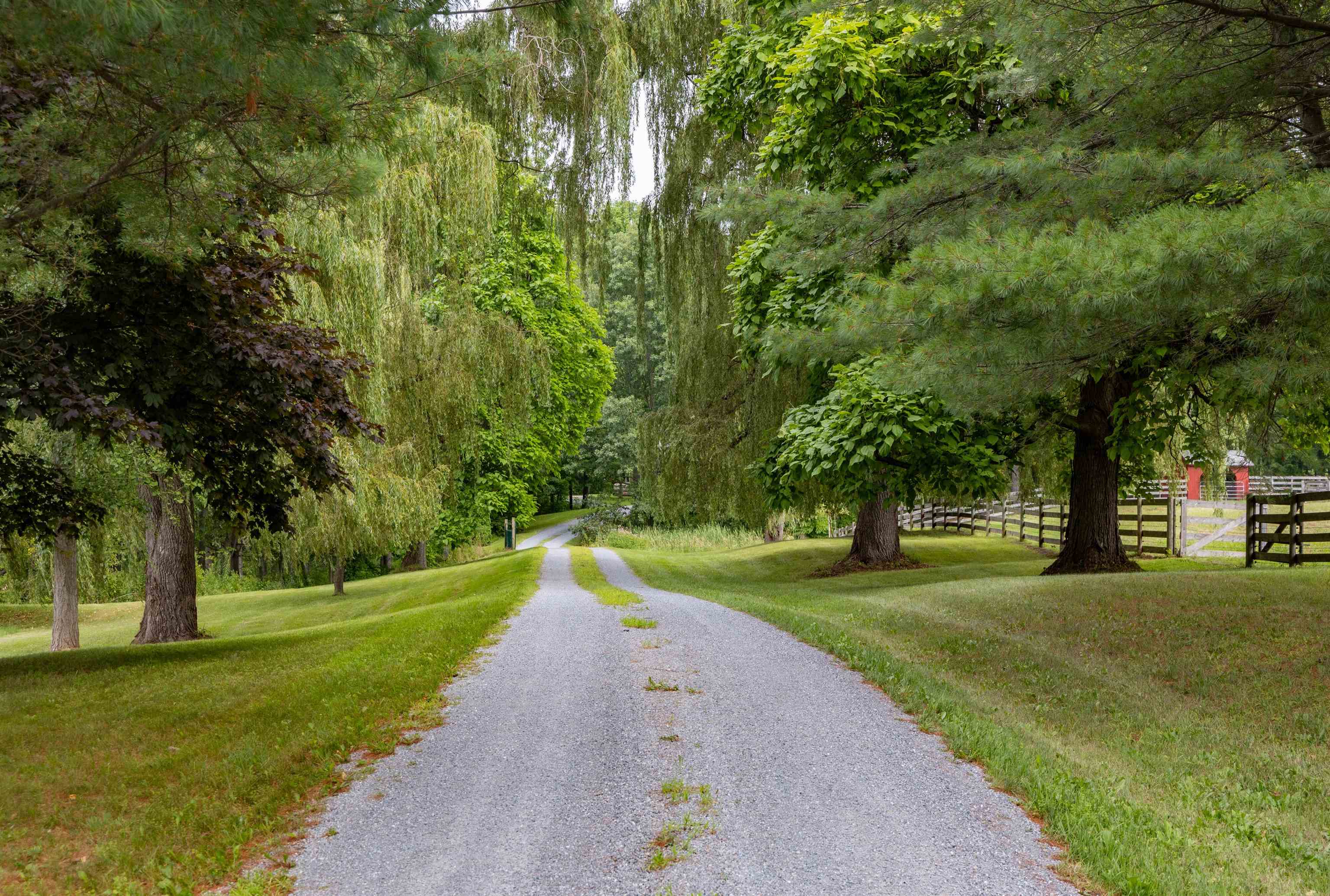 283 Higbee Road Charlotte, VT 05445 - Photo 24 of 31