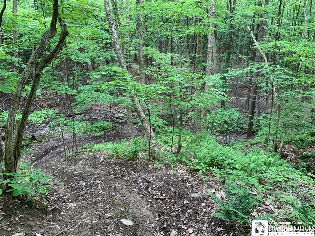 905 Waterman Road Kennedy, NY 14747 - Photo 10 of 35