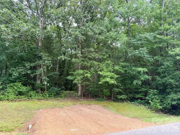 a view of a trees with a yard