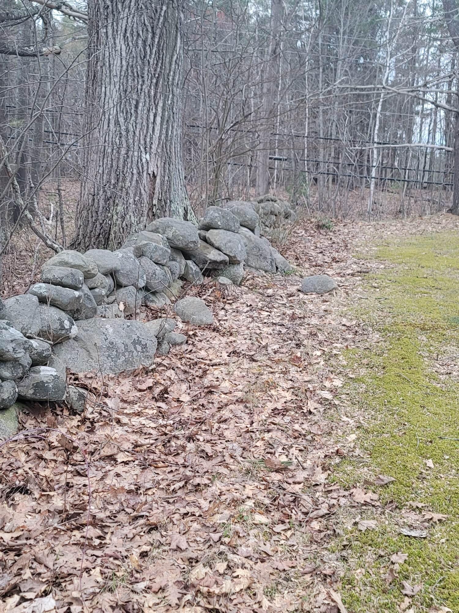 61 Pine Knoll Road Winthrop, ME 04364 - Photo 63 of 64 341765573_947278649736377_42332837207700