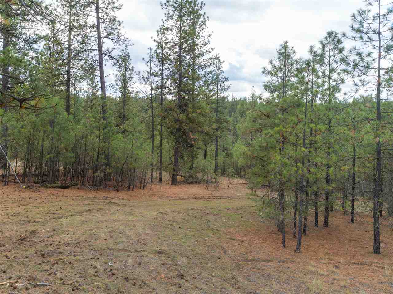 0 North Rambo Road Spokane, WA 99224 - Photo 13 of 20