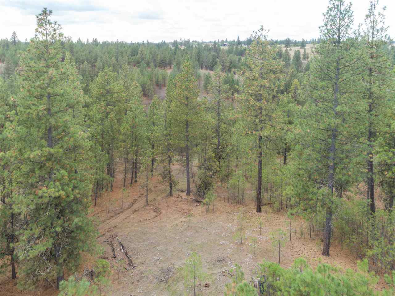 0 North Rambo Road Spokane, WA 99224 - Photo 14 of 20