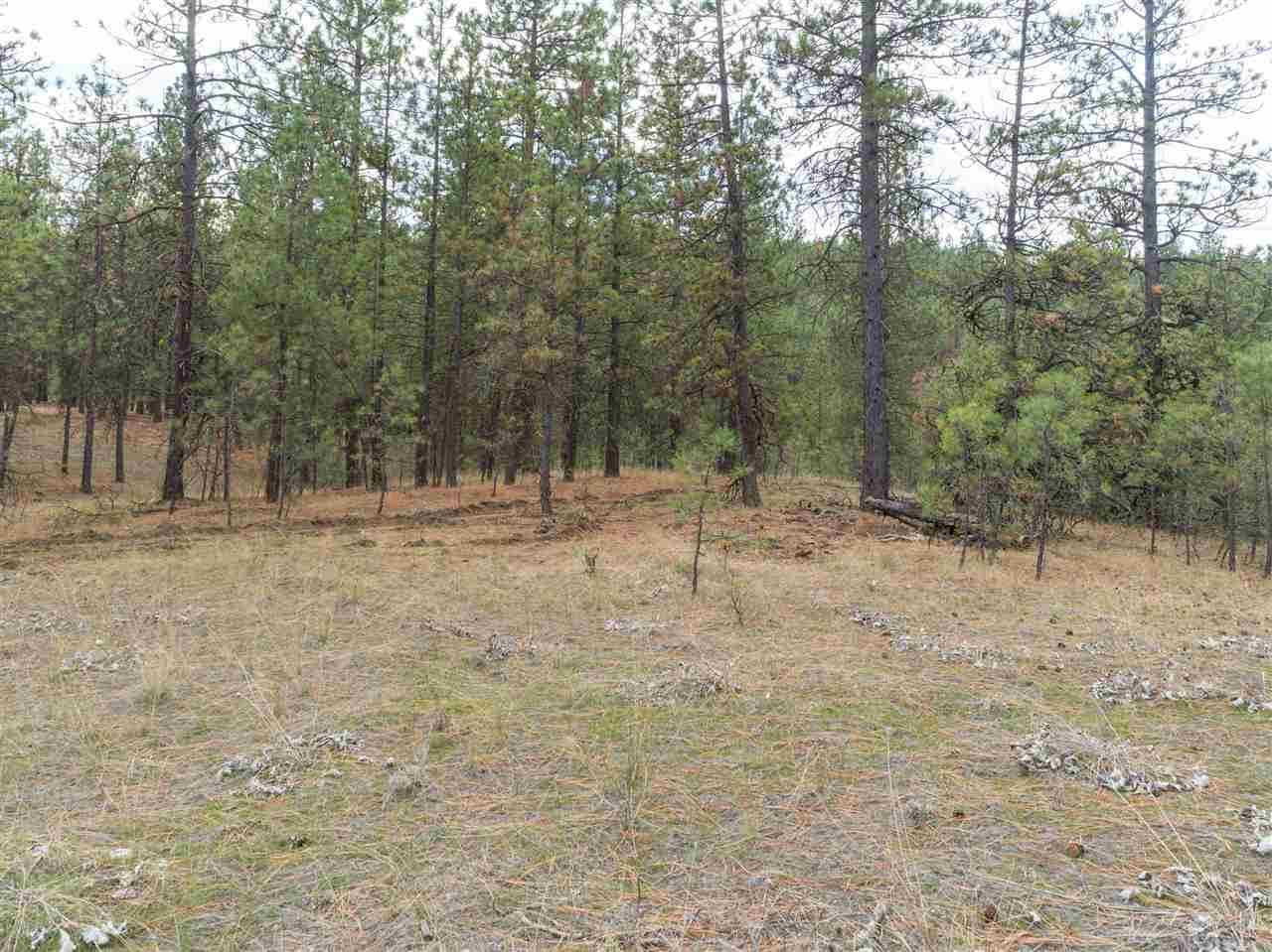 0 North Rambo Road Spokane, WA 99224 - Photo 15 of 20